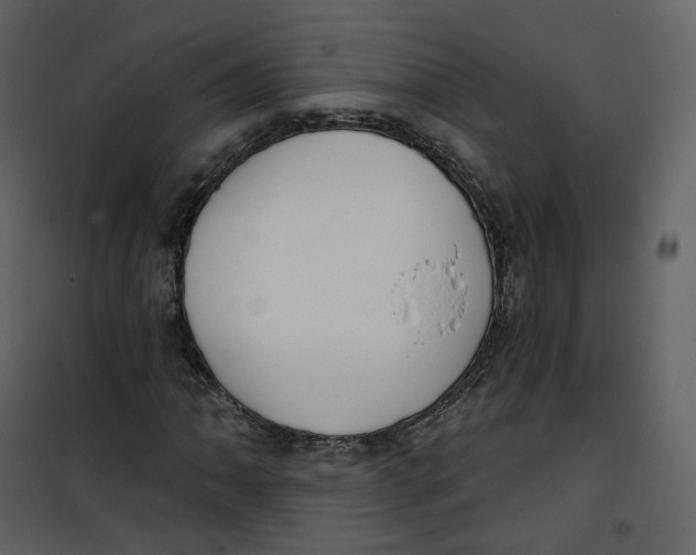X0000100751062200807171406