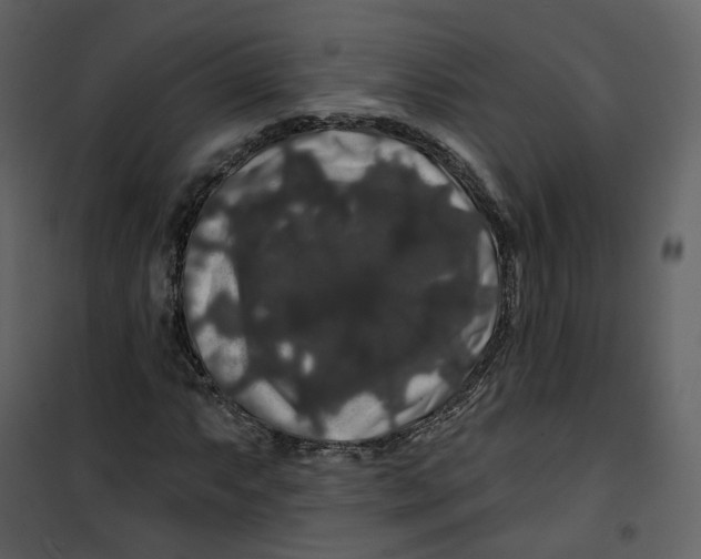 X0000100751063200807171406