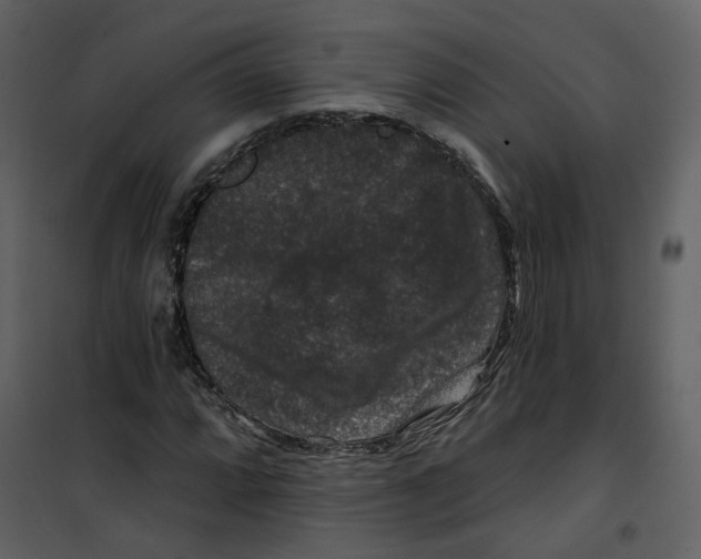 X0000100751064200807171406