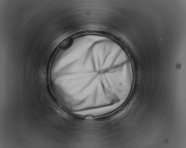 X0000100751065200807171406