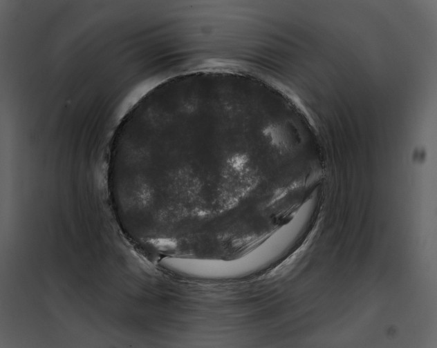 X0000100751066200807171406