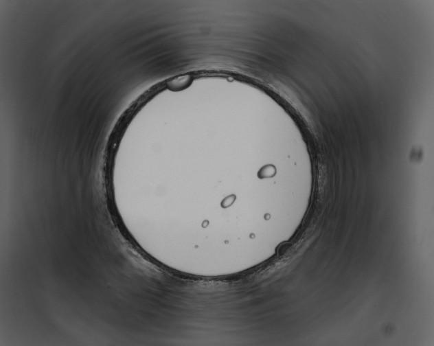 X0000100751068200807171406