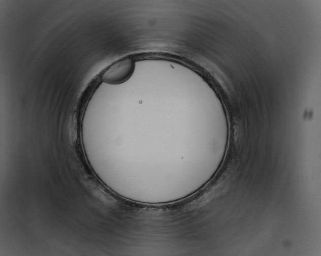X0000100751069200807171406