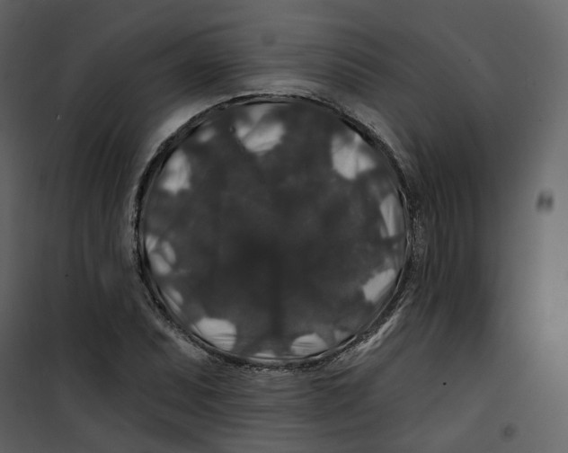 X0000100751071200807171406