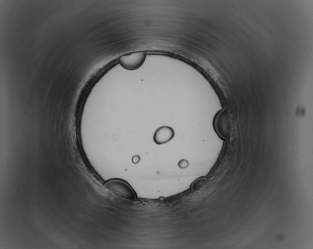 X0000100751072200807171406