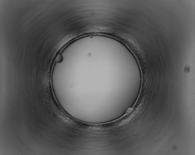 X0000100751073200807171406