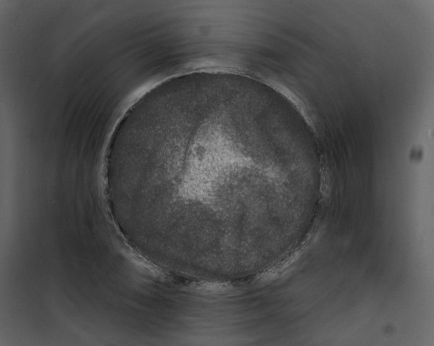 X0000100751074200807171406