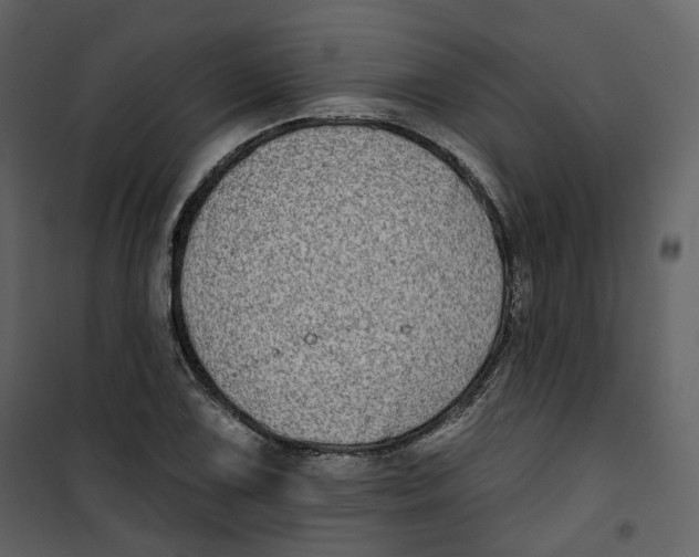 X0000100751075200807171406