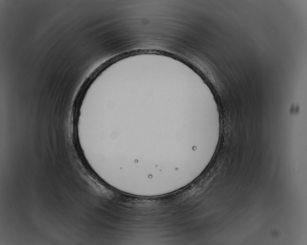 X0000100751076200807171406