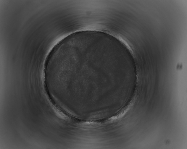X0000100751077200807171406