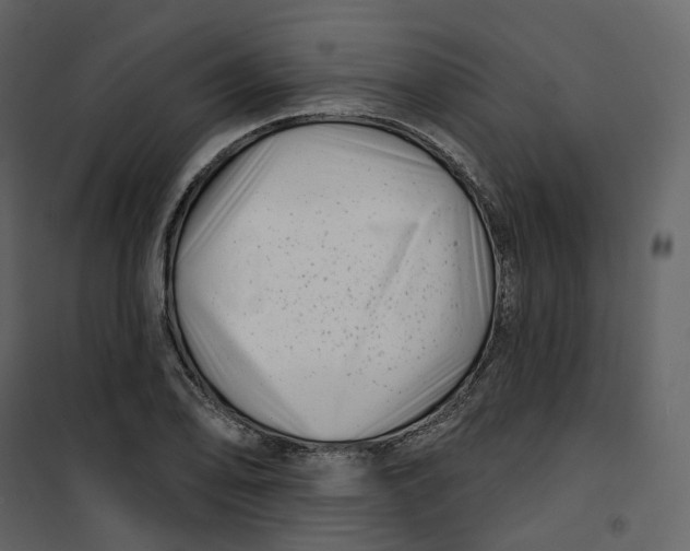 X0000100751078200807171406