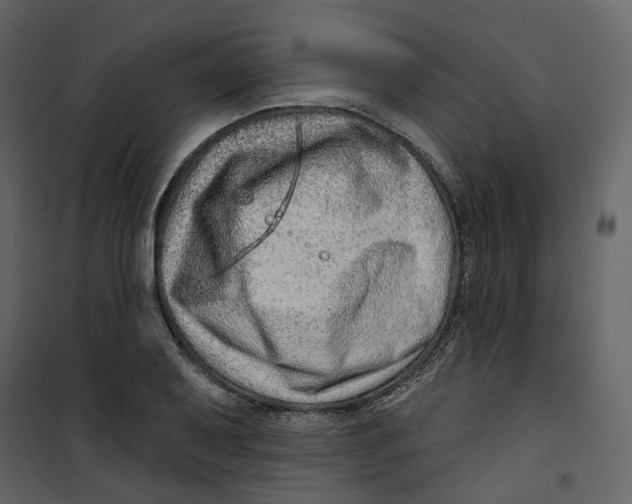 X0000100751079200807171406