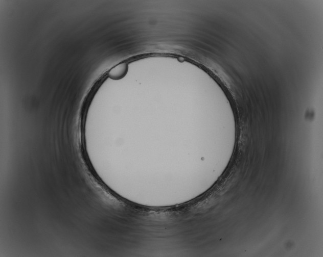 X0000100751080200807171406