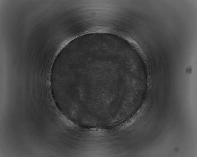 X0000100751081200807171406