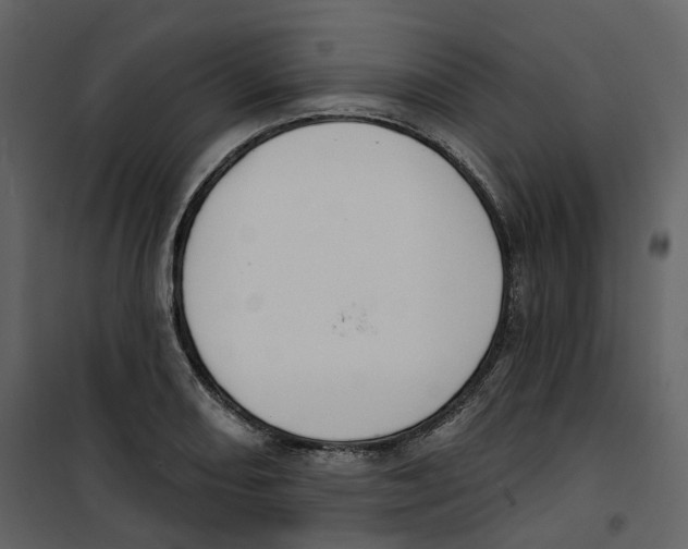 X0000100751082200807171405