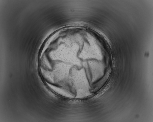 X0000100751083200807171405
