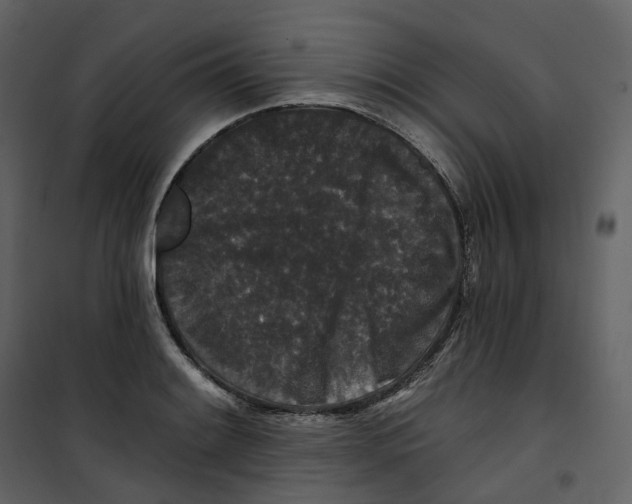 X0000100751084200807171405