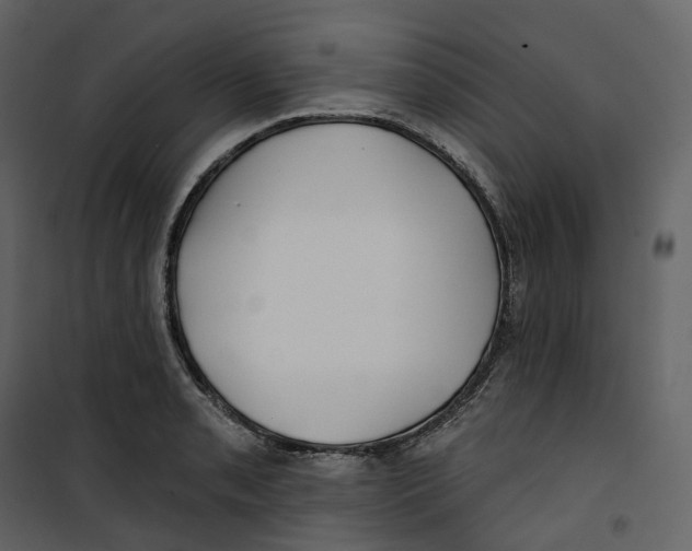 X0000100751085200807171405