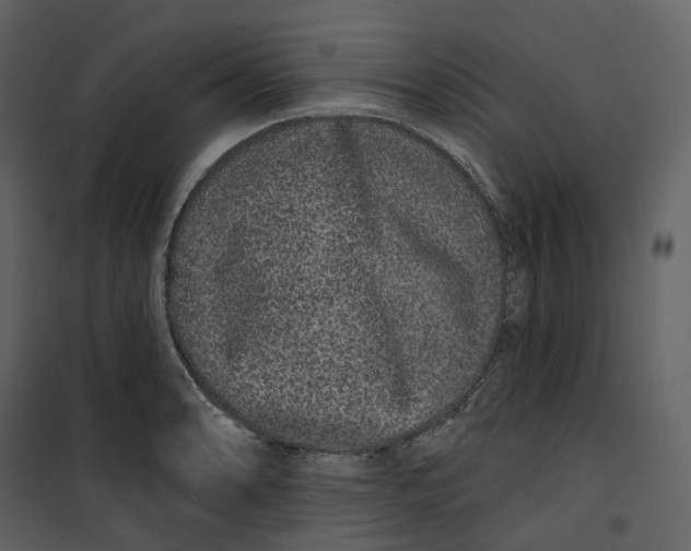 X0000100751086200807171405