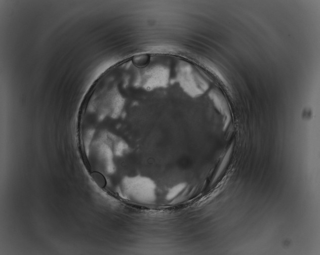 X0000100751087200807171405