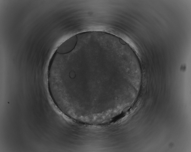 X0000100751088200807171405