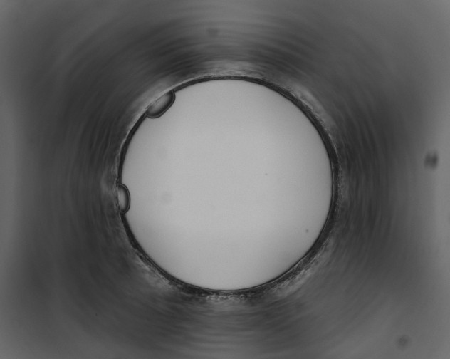 X0000100751089200807171405