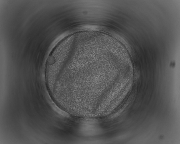 X0000100751090200807171405