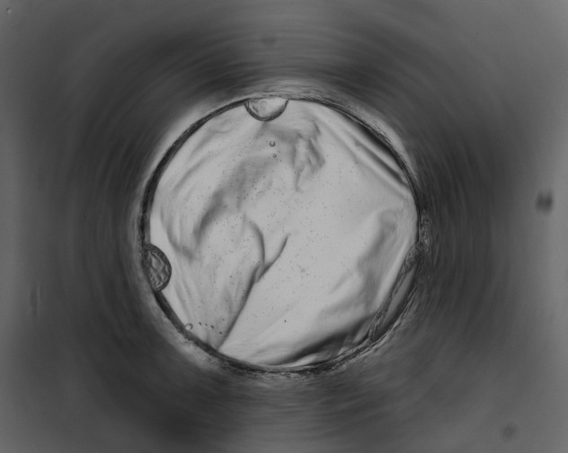 X0000100751091200807171405