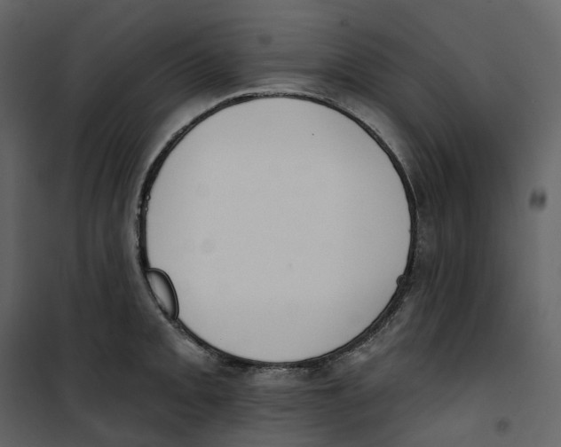 X0000100751093200807171405