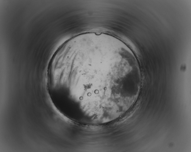 X0000100751095200807171405