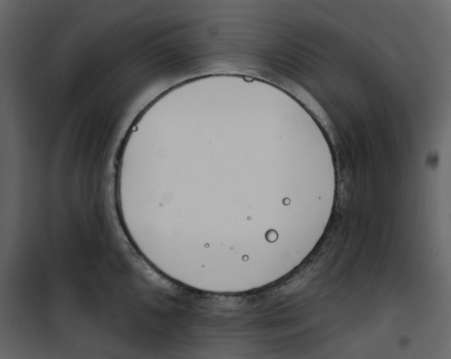 X0000100751096200807171405