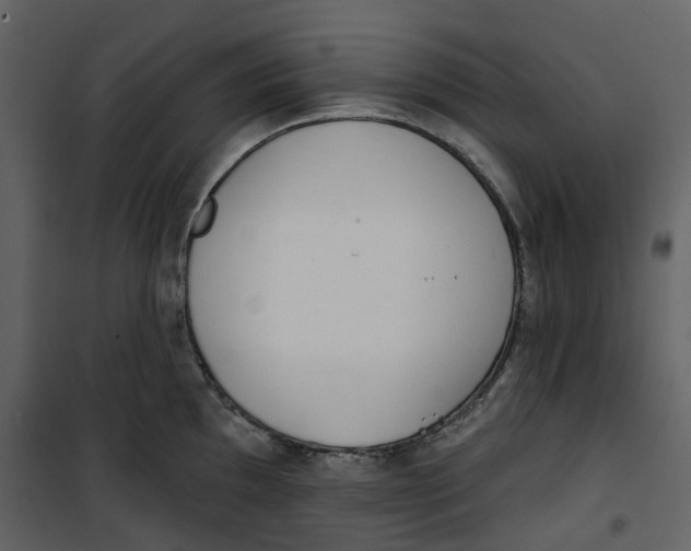 X0000100751097200807171405