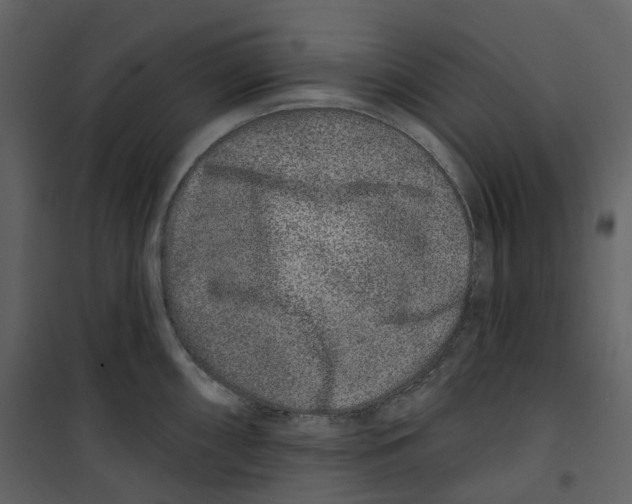 X0000100751098200807171405