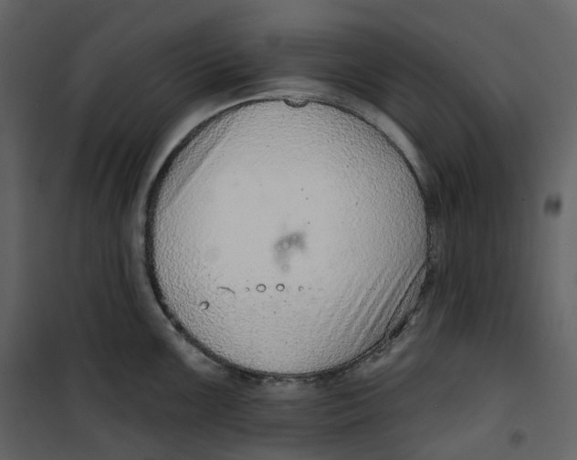 X0000100751099200807171405