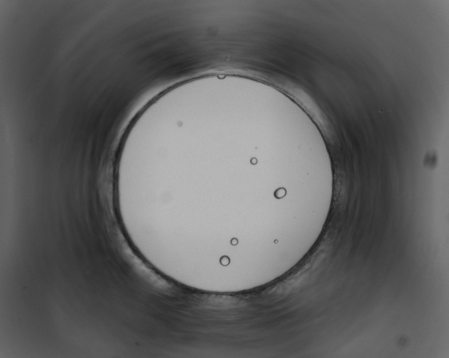 X0000100751100200807171405