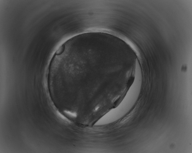 X0000100751102200807171405