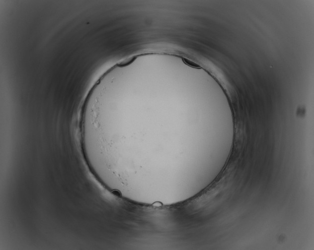 X0000100751103200807171405