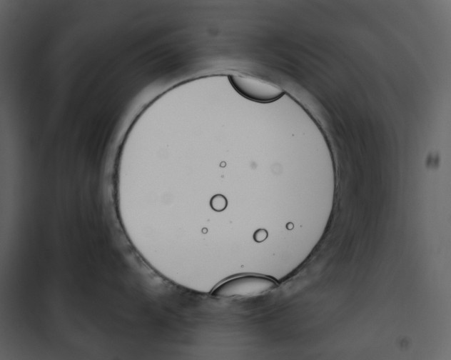 X0000100751104200807171405