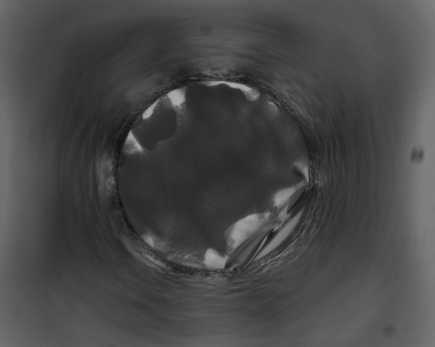 X0000100751106200807171404
