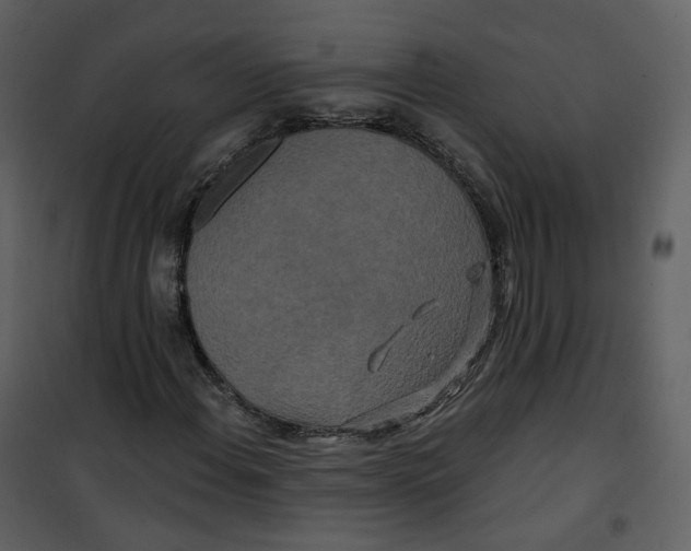 X0000100751108200807171404