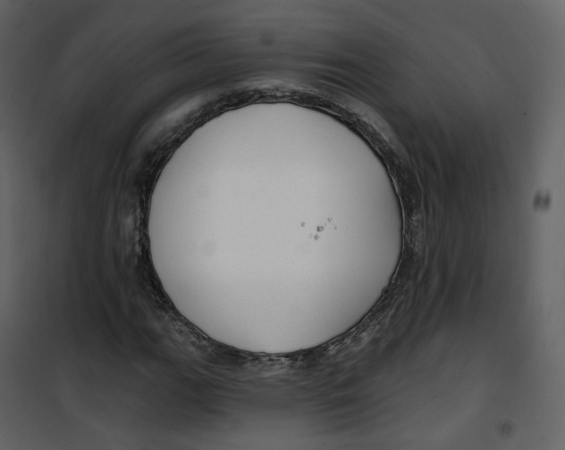 X0000100751111200807171405