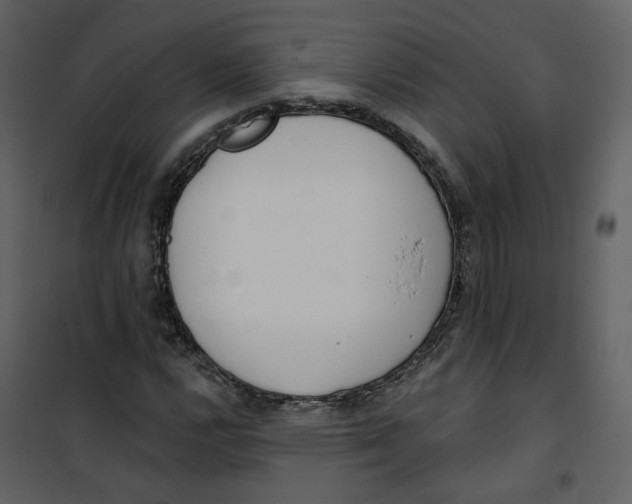 X0000100751112200807171405