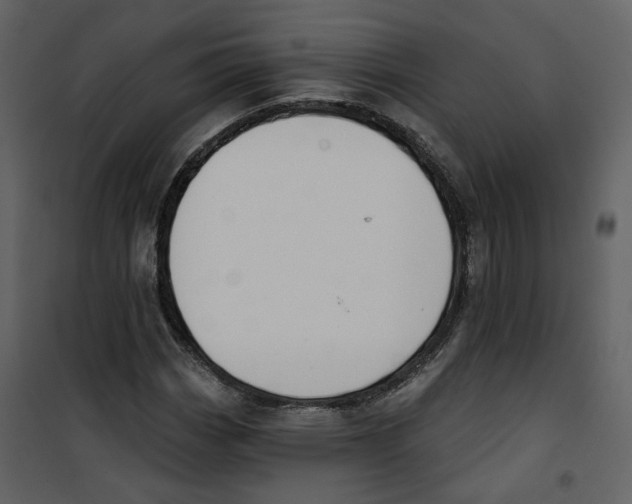 X0000100751113200807171405