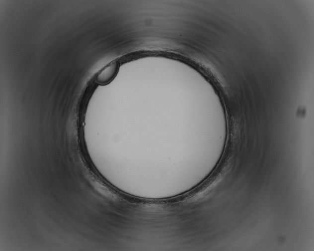 X0000100751114200807171405