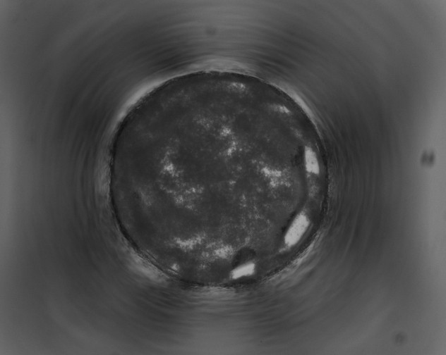 X0000100751115200807171405