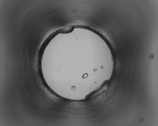 X0000100751116200807171405