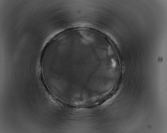 X0000100751117200807171405