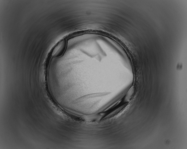 X0000100751118200807171405