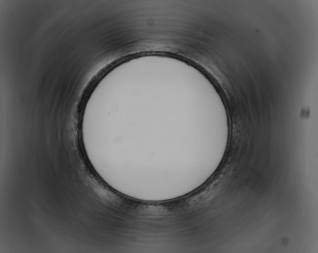 X0000100751119200807171405