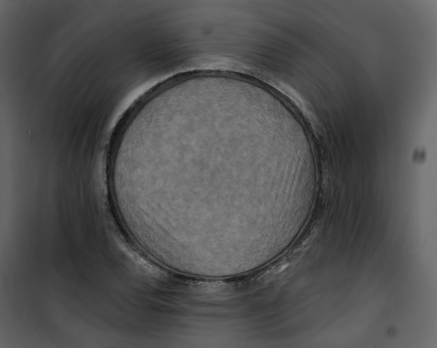 X0000100751120200807171405